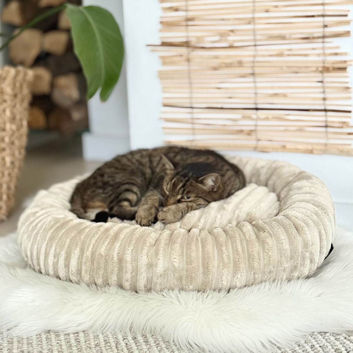 Urocze legowisko dla kota LUNA, 55x50 cm, Beż