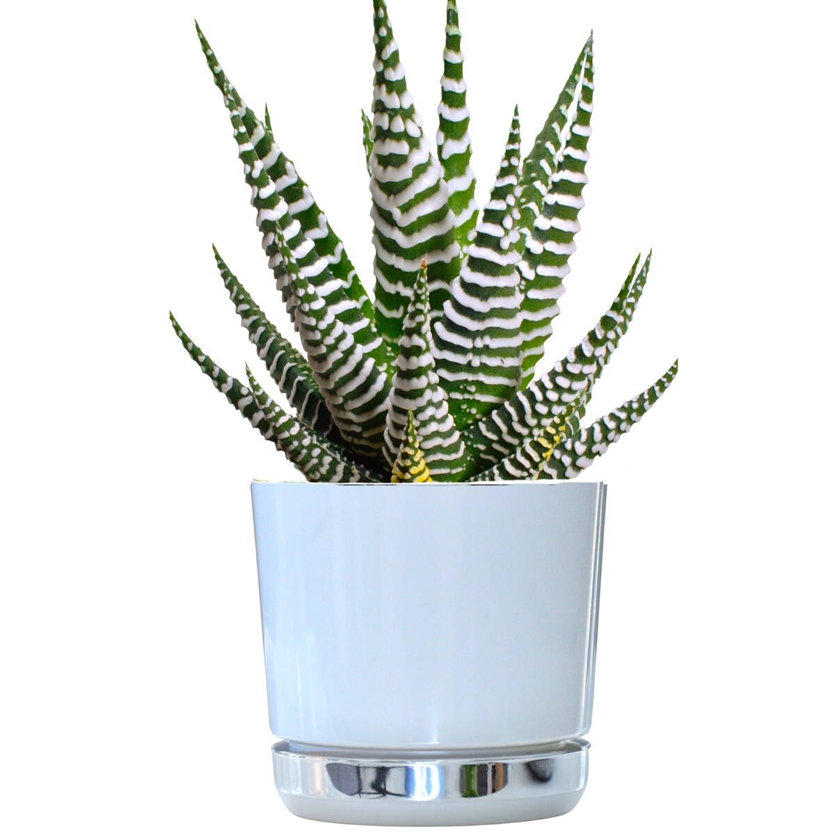 12 Doniczka DUO BIAŁA z podstawką KRAINA LODU dwukolorowa nowoczesna z połyskiem elegancka efekt lustra srebrna minimalizm