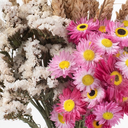 Zestaw suszonych kwiatów Estate roz. S - zatrwian, suchlin, pszenica