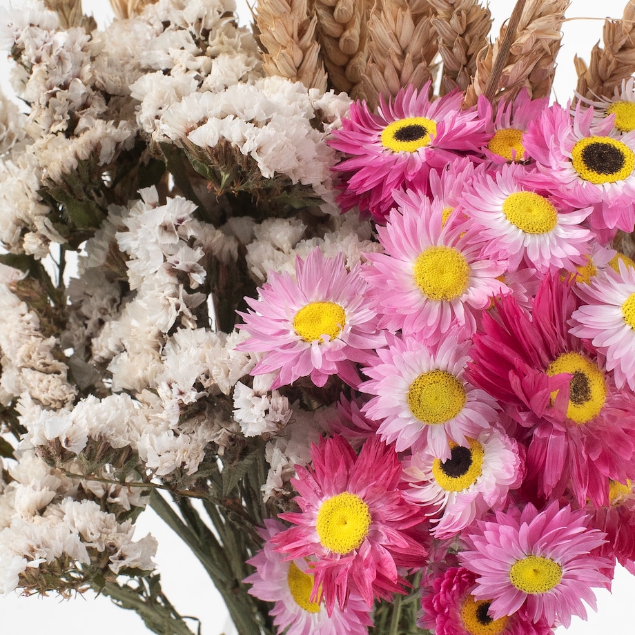 Zestaw suszonych kwiatów Estate roz. S - zatrwian, suchlin, pszenica