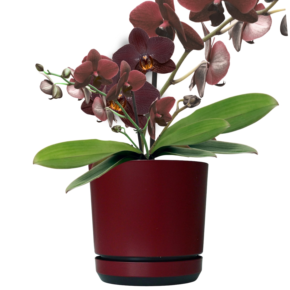 16 Doniczka z podstawką wzór BORDOWY nowoczesna z połyskiem elegancka pół mat