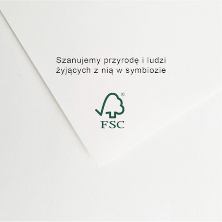 Plakat Paproć 30x40cm