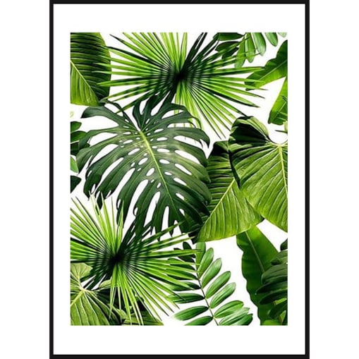 Poster Story, Plakat, Obraz - Tropikalne Liście w Białe Paski, wymiary 70 x 100 cm