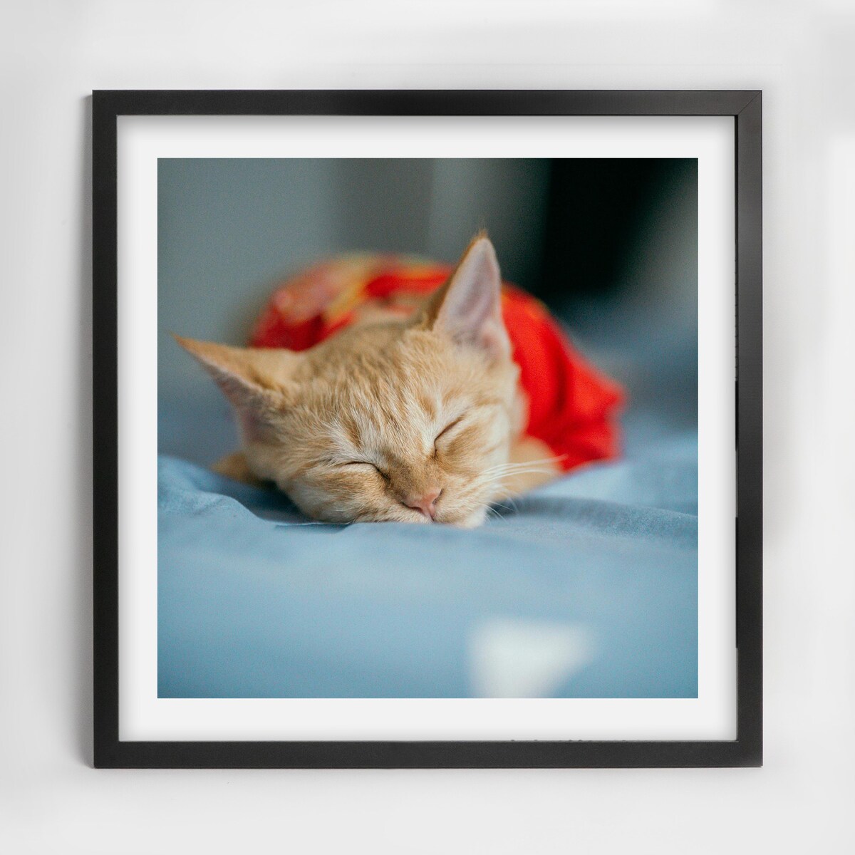 Ramka na zdjęcia 40x40 cm czarna rama MDF z plexi do powieszenia klasyczna kwadratowa ramka FRAMAI