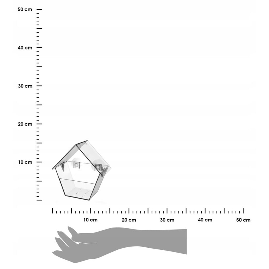 KARMNIK DLA PTAKÓW Przezroczysty transparentny na przyssawkach OKNO SZYBA