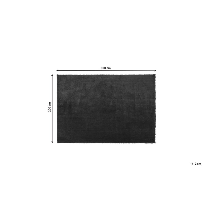 Dywan shaggy 200 x 300 cm czarny EVREN
