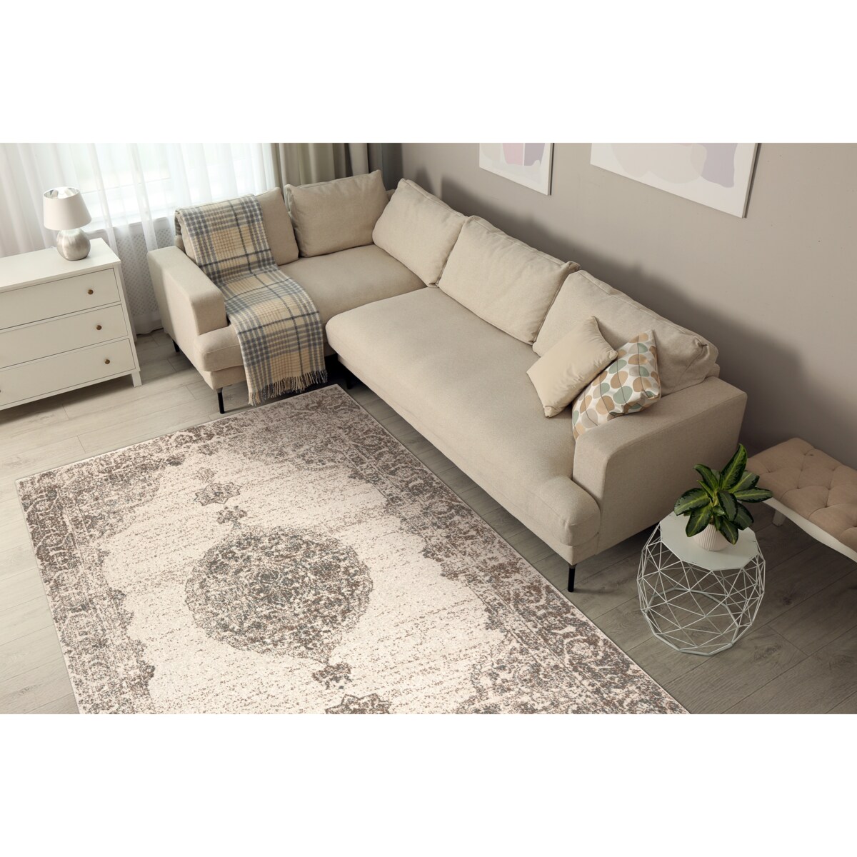 Dywan ABBY 486.24.LA110 wełniany OSTA - 120x170 cm