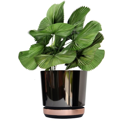 21 Doniczka DUO CZARNA z podstawką ŁOSOSIOWA dwukolorowa nowoczesna industrialny loft glamour wysoki połysk metaliczna elegancka