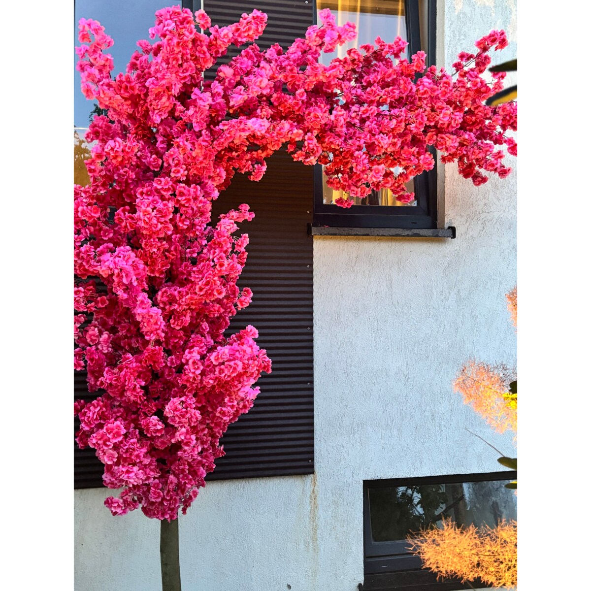 Drzewo wiśnia fuksjowa boczna na naturalnym pniu 220 cm