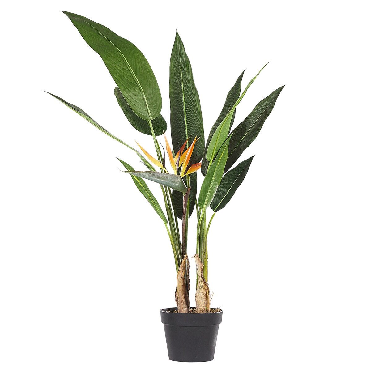 Sztuczna roślina STRELITZIA TREE 115 cm Zielony
