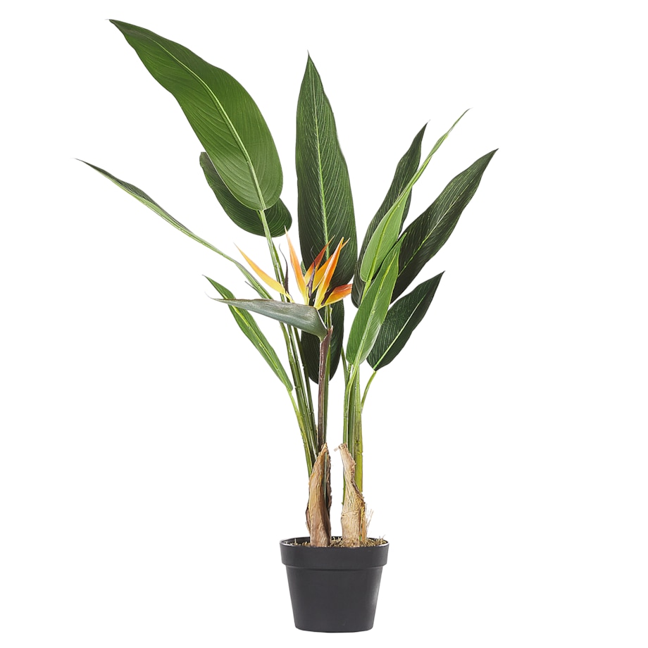 Sztuczna roślina STRELITZIA TREE 115 cm Zielony