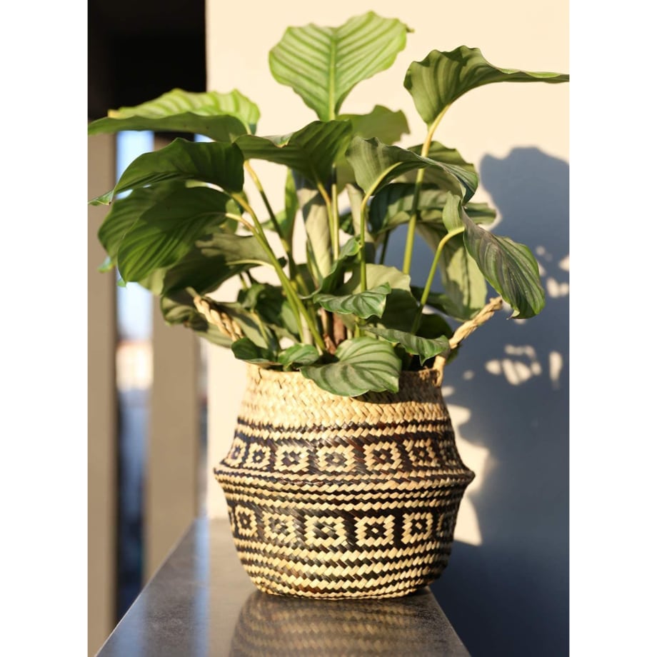 Kosz Naturalny Pleciony 322177