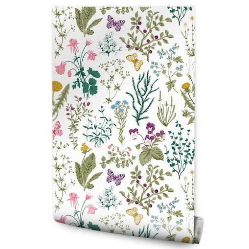 Tapeta Kolorowe Rośliny KWIATY Liście Motyle