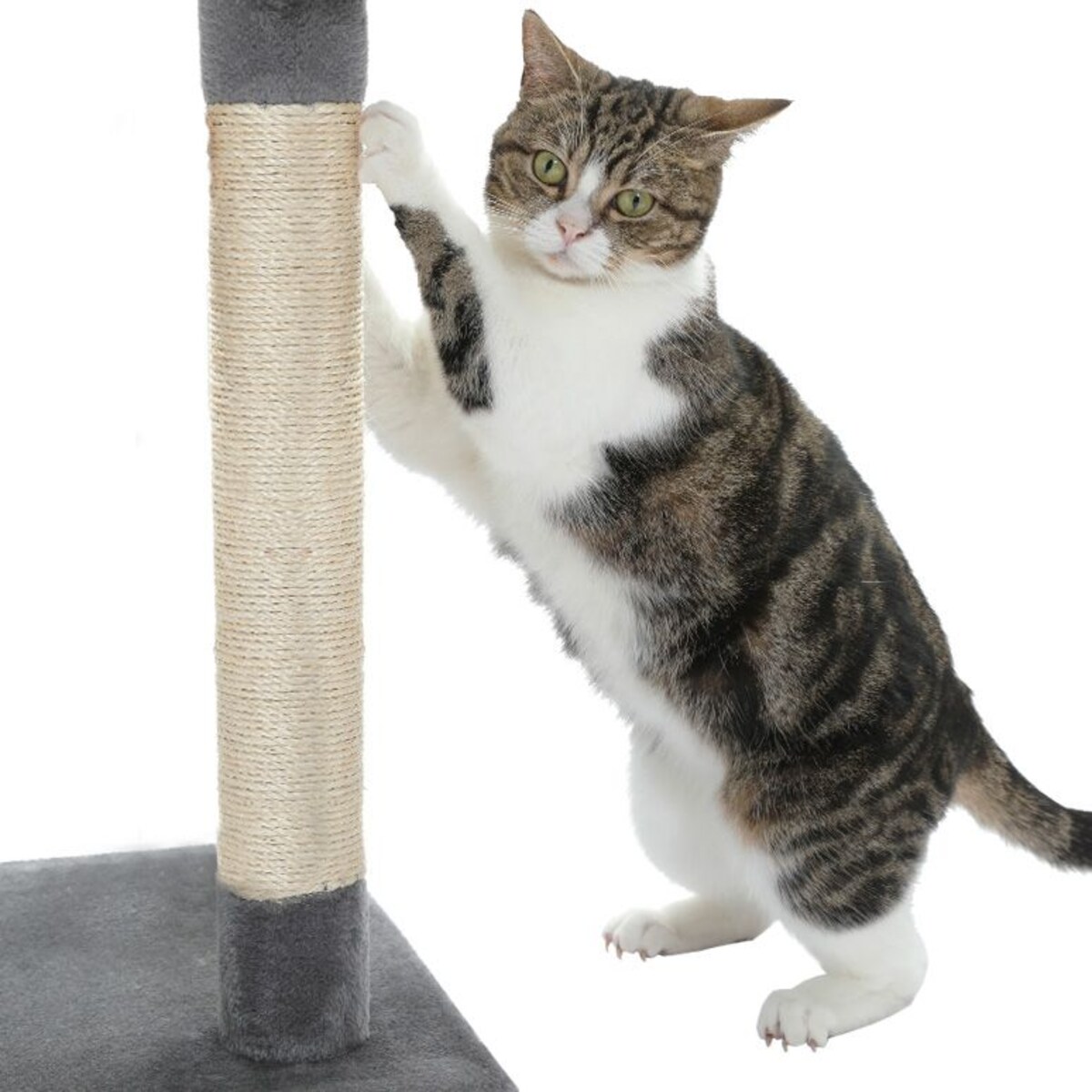 DRAPAK DLA KOTÓW SZARY 370159