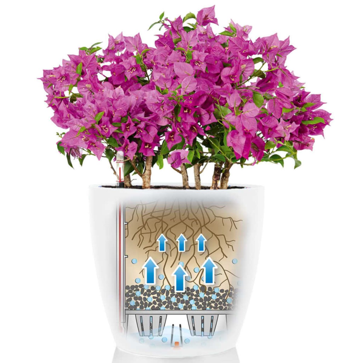 LECHUZA Biała donica Classico Color 28 ALL-IN-ONE, wysoki połysk 13190