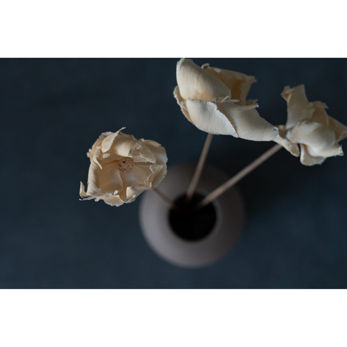 Kwiat orzechowca bielony