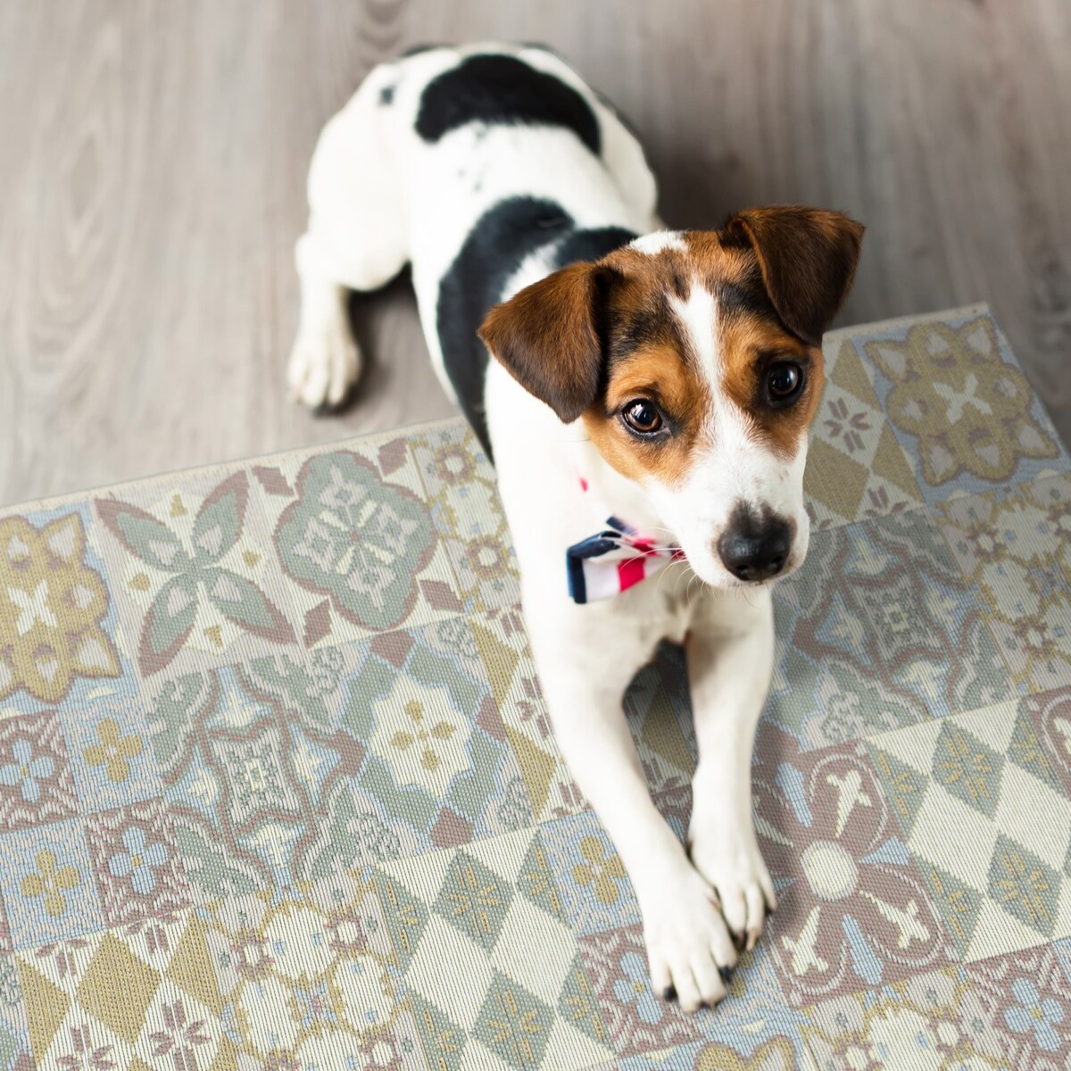 Dywan tkany na płasko SELENA  80x200 cm e-floor OEKO-TEX marokański beżowy