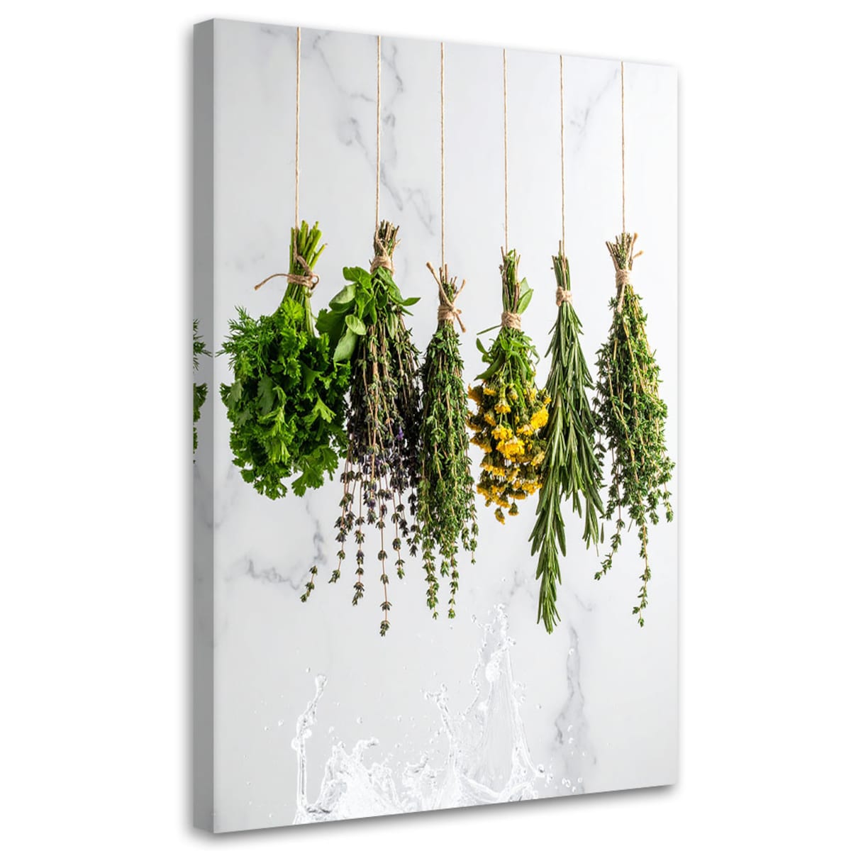 Obraz do kuchni jadalni baru, Zioła przyprawy rośliny 60x90