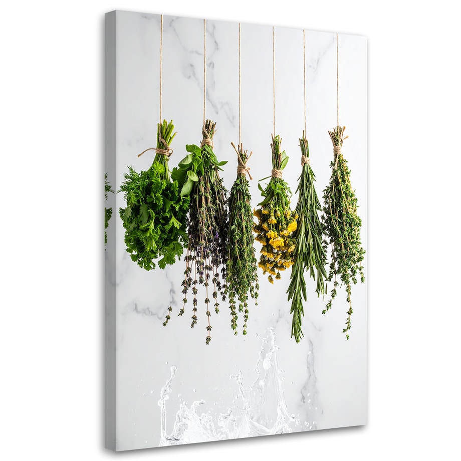 Obraz do kuchni jadalni baru, Zioła przyprawy rośliny 60x90