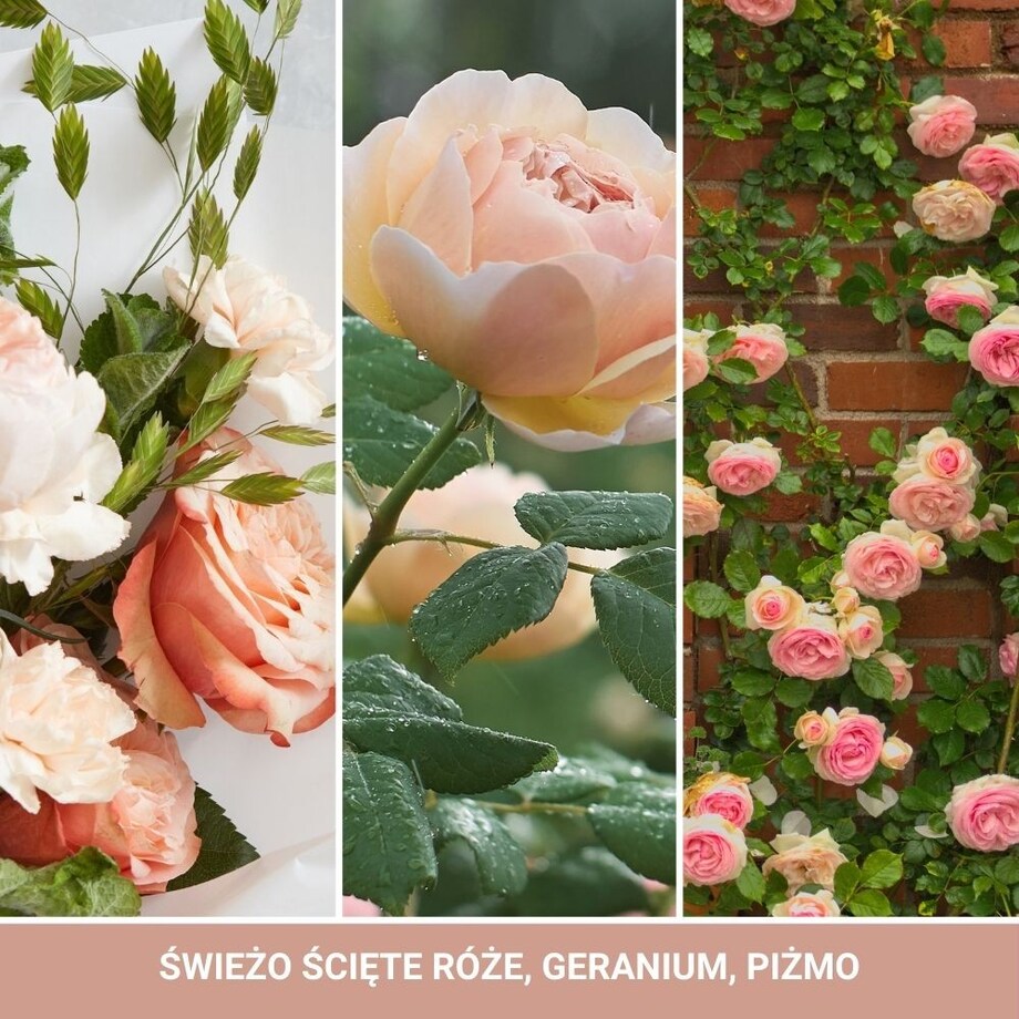 YC SIGNATURE – Świeca duża FRESH CUT ROSES