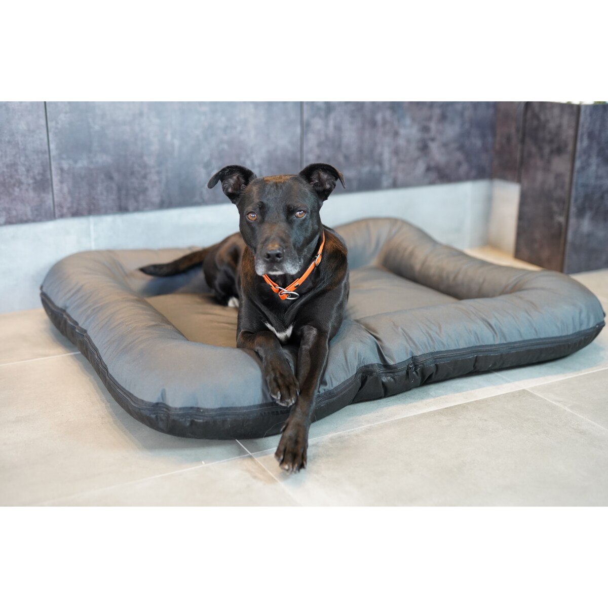 Wodoodporny materac dla psa ponton KLEO, 90x70 cm, Grafit