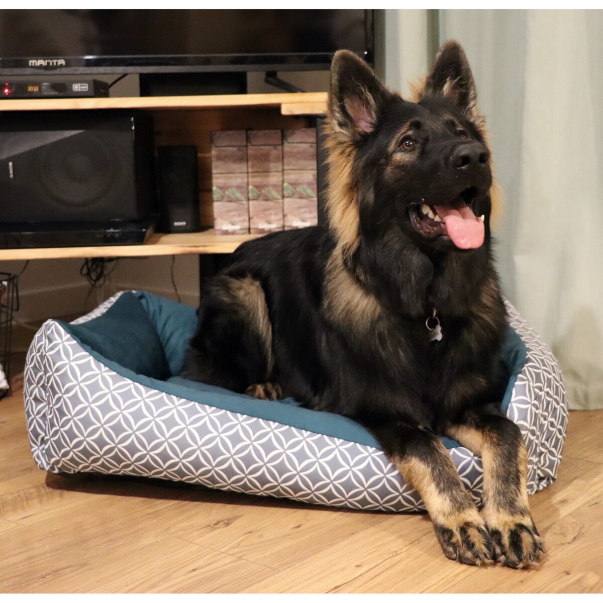 Stylowe legowisko dla psa OTTO, 80x60 cm, Turkus