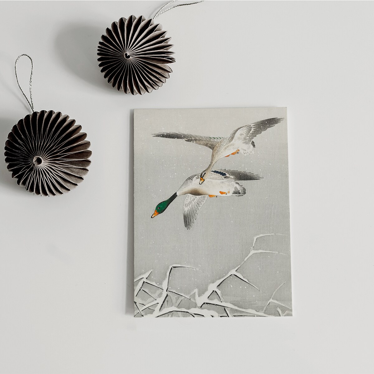 Plakat Kaczki W Locie 21x30cm