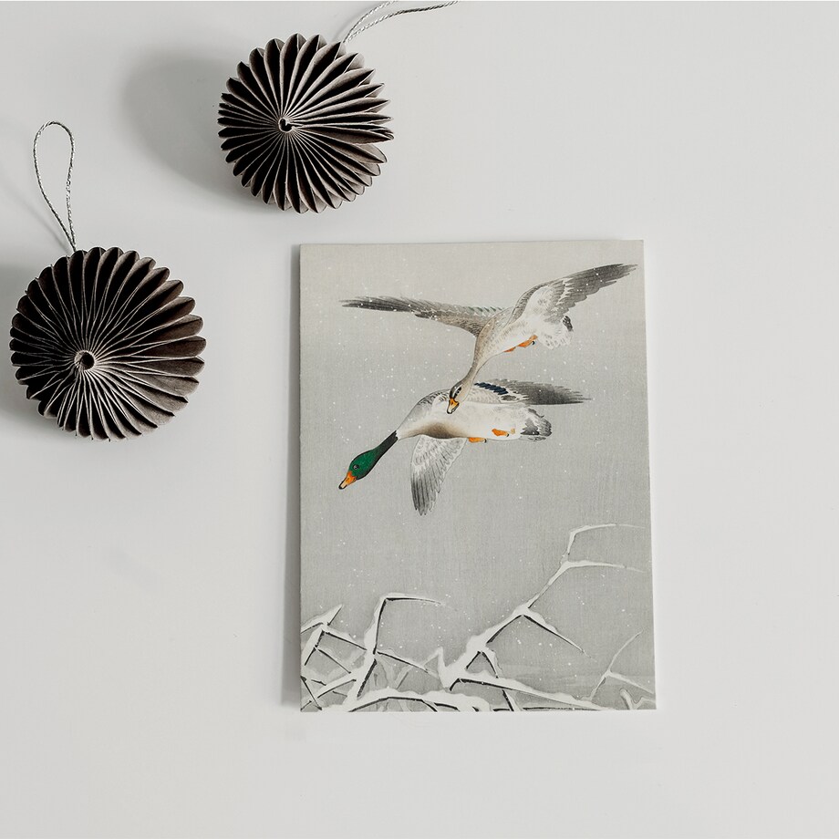 Plakat Kaczki W Locie 21x30cm