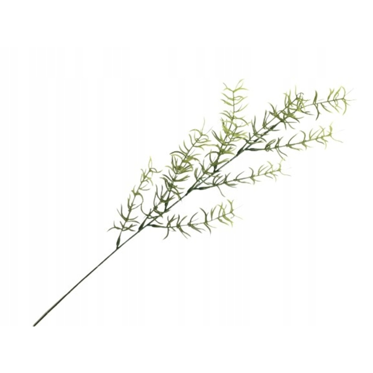 SZTUCZNY ASPARAGUS ZIELONY GAŁĄZKA dodatek stroik
