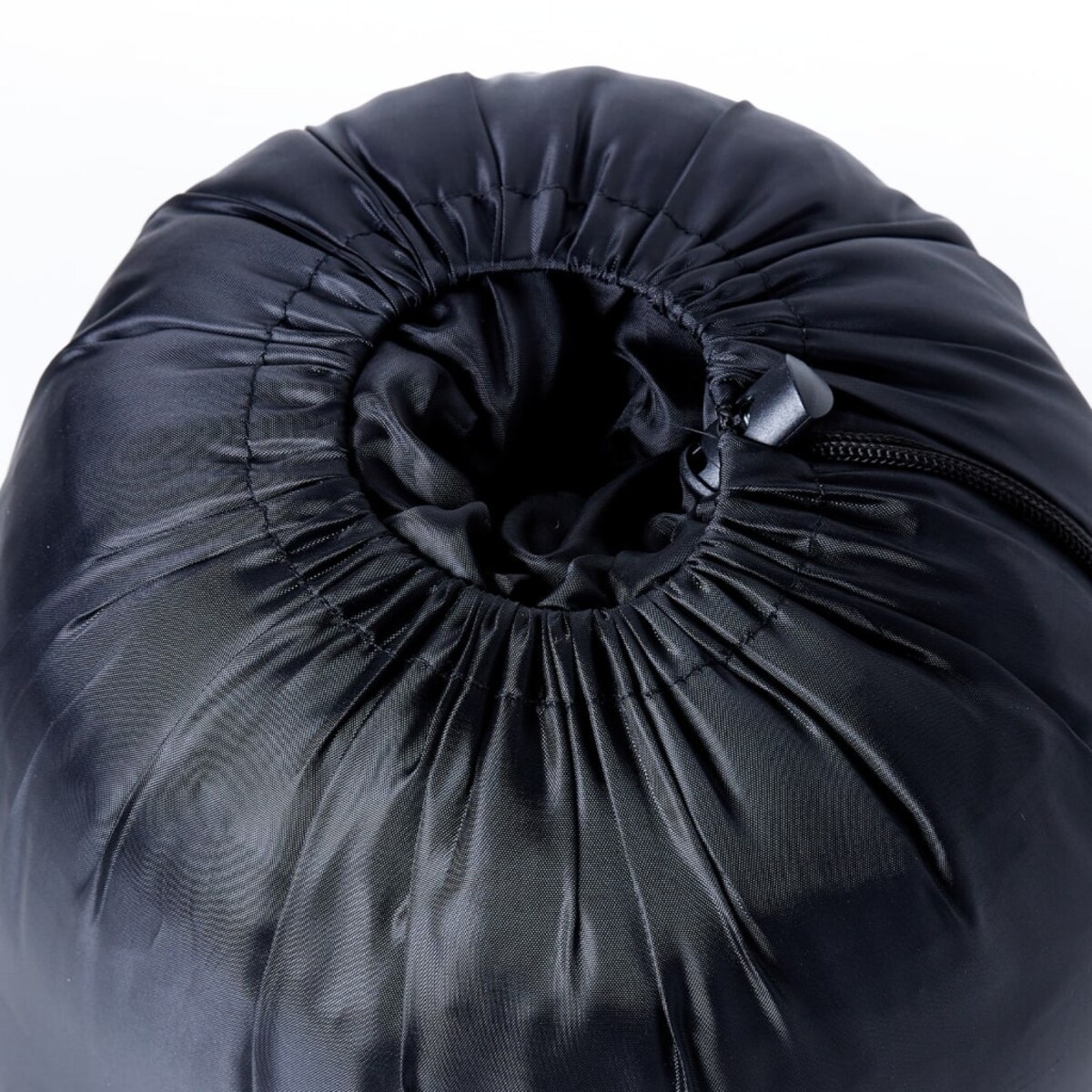 vidaXL Śpiwór typu mumia, dla dorosłych, na 3 pory roku