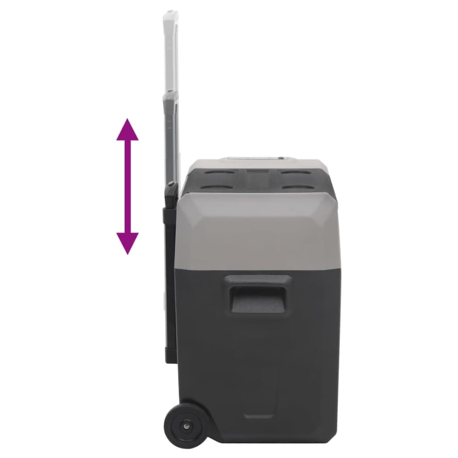 vidaXL Lodówka na kółkach, z zasilaczem, czarno-szara, 40 L, PP