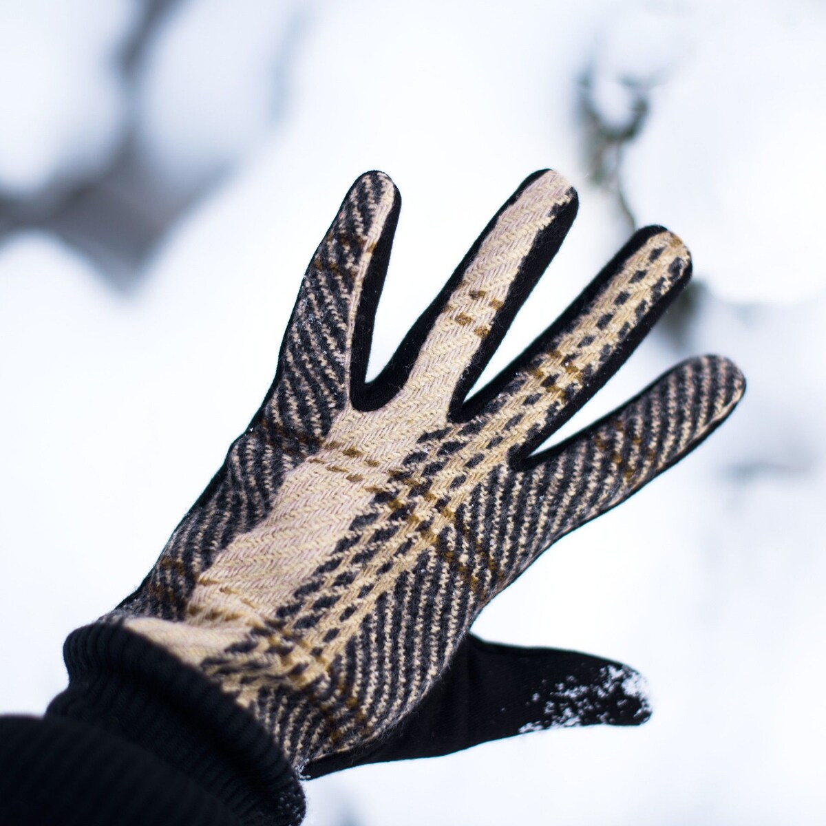 Rękawiczki Edinburgh Graphite Grafitowy, Uniwersalny