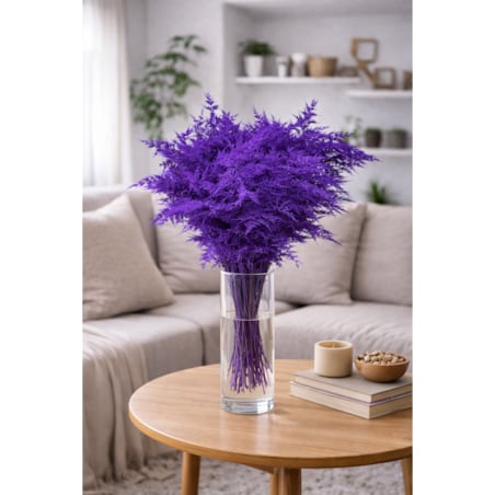 Asparagus Milka – bukiet , 50 szt., wysokość ok. 80 cm, 550–600 g