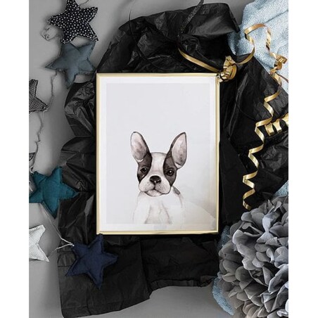 Poster Story, Plakat, Obraz - Buldog Francuski w Brązowe Łaty, wymiary 21 x 30 cm