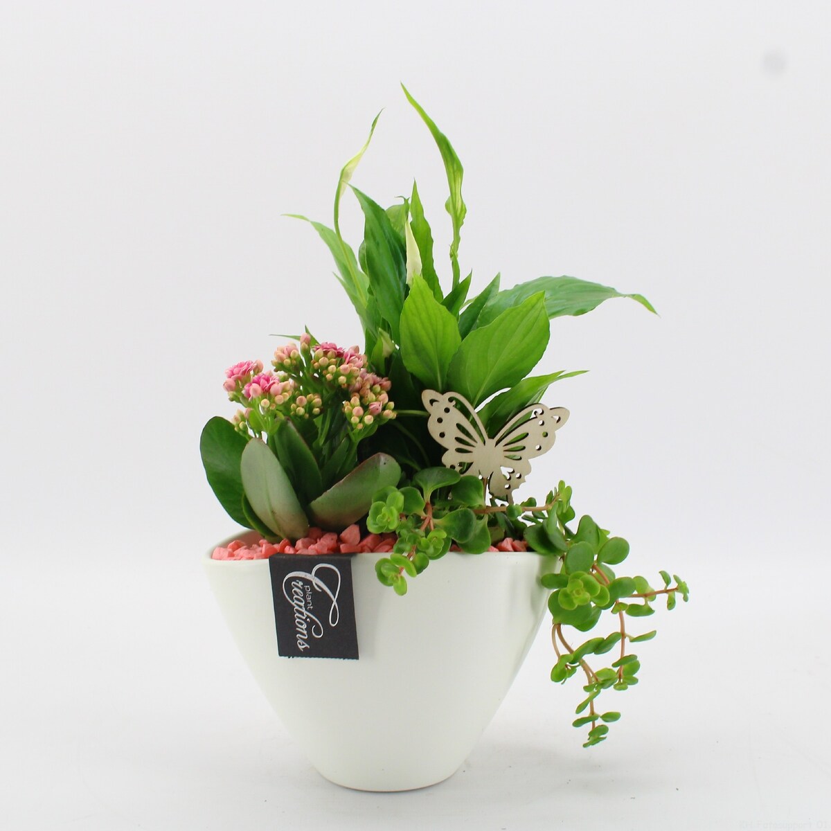 Kompozycja roślinna | ceramiczna doniczka Ø 18 cm | wysokość ok. 35 cm