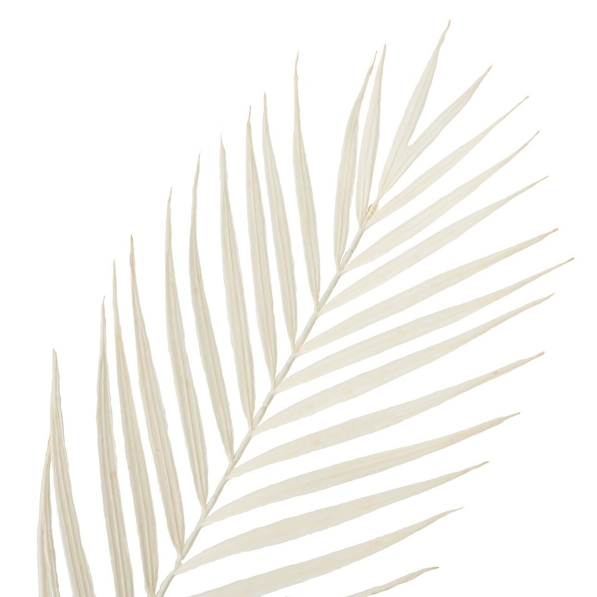 Gałązka Palmera 95 cm white, 22x1x95 cm