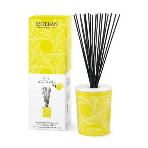 Dyfuzor zapachowy z patyczkami Terre d'agrumes + ceramiczna przykrywka, 100 ml, Esteban