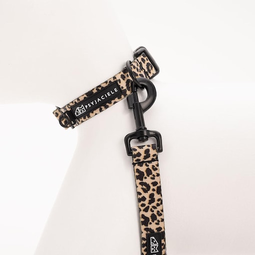 Obroża dla psa lub kota "Pan tera mi kupi" PANTERKĄ DO GÓRY - Szerokość taśmy: 15mm, Rozmiar: XXS