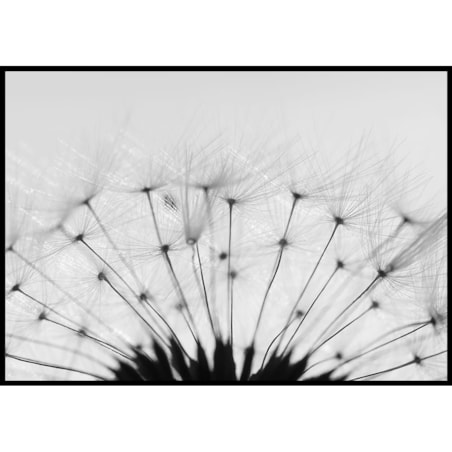 plakat dmuchawiec 30x40 cm