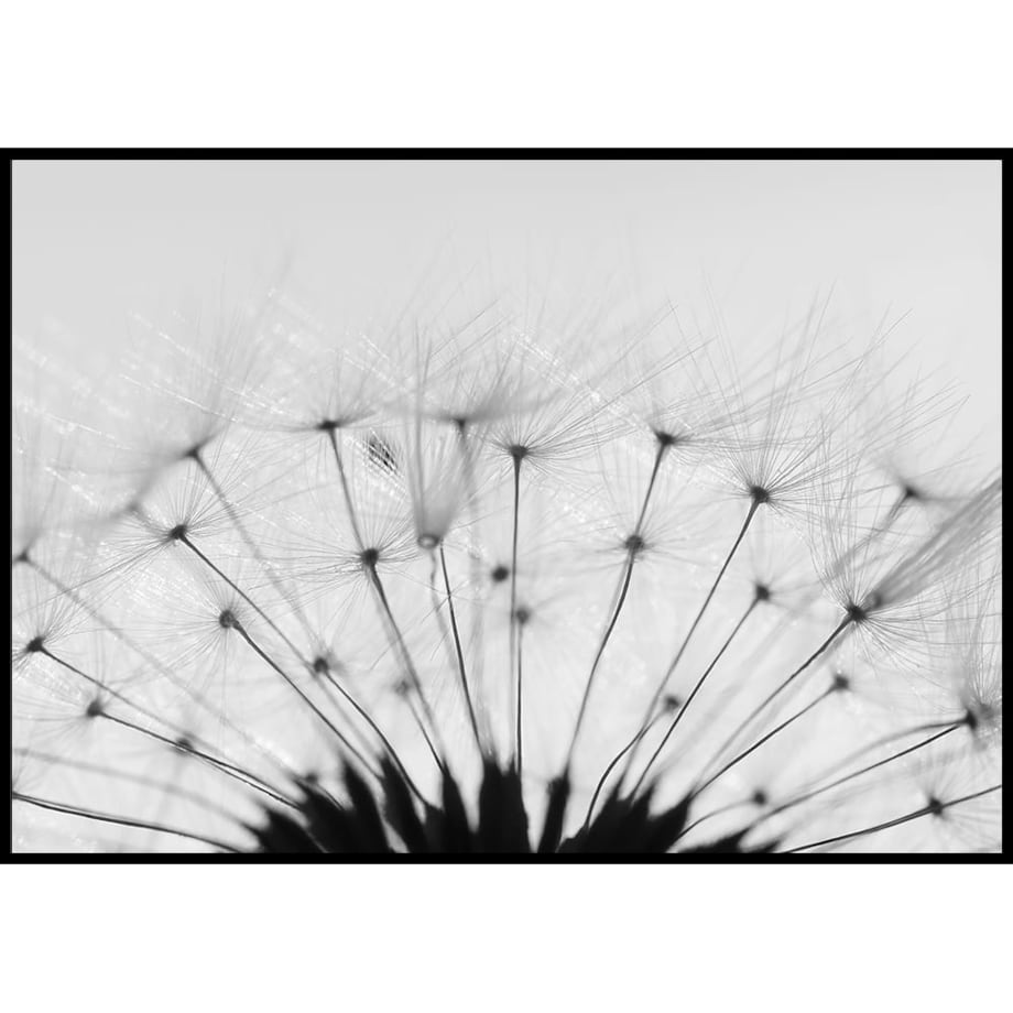 plakat dmuchawiec 30x40 cm