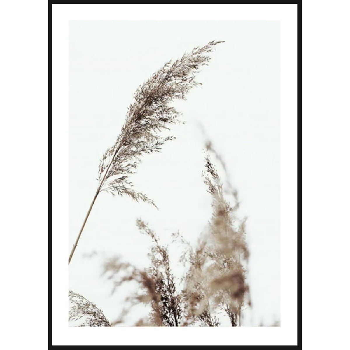 Poster Story, Plakat, Obraz - Spokojna Trawa, wymiary 21 x 30 cm