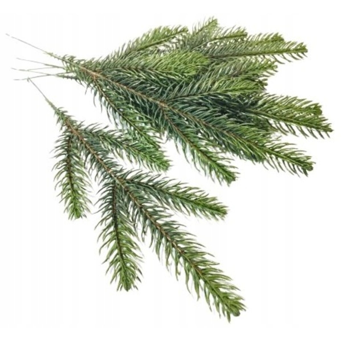 SZTUCZNA GAŁĄZKA sosna świerk choinka dekoracja PIK 6szt na bukiet stroik