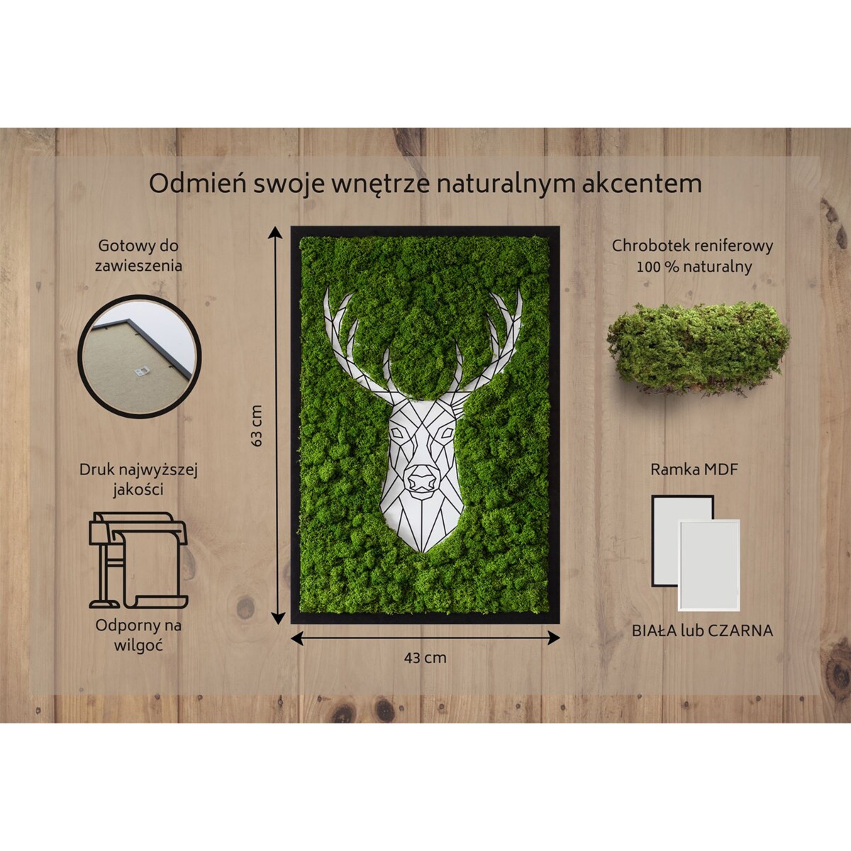 Obraz Geometryczny jeleń - mech chrobotek w czarnej ramie 40x60cm