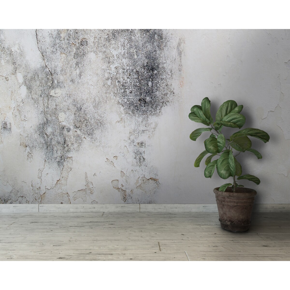 Tapeta Biały beton, 416x254cm