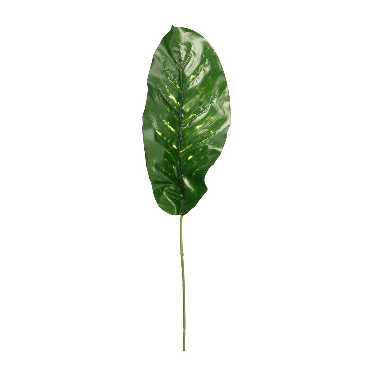 Liść Bananowca, 18 x 35 x 67 cm