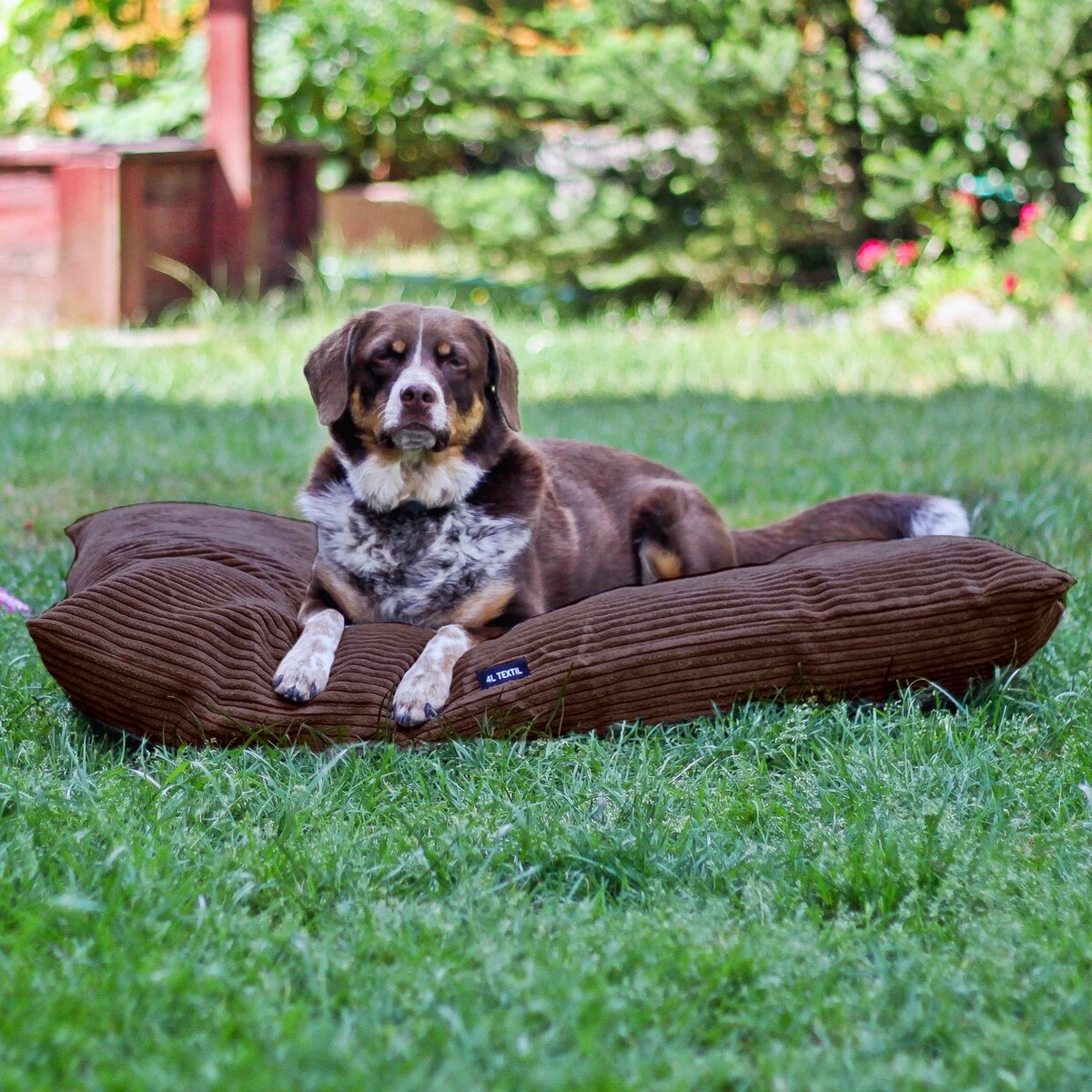 Poduszka dla psa ze sztruksu MOLLY, 100x80 cm, Ciemny Brąz