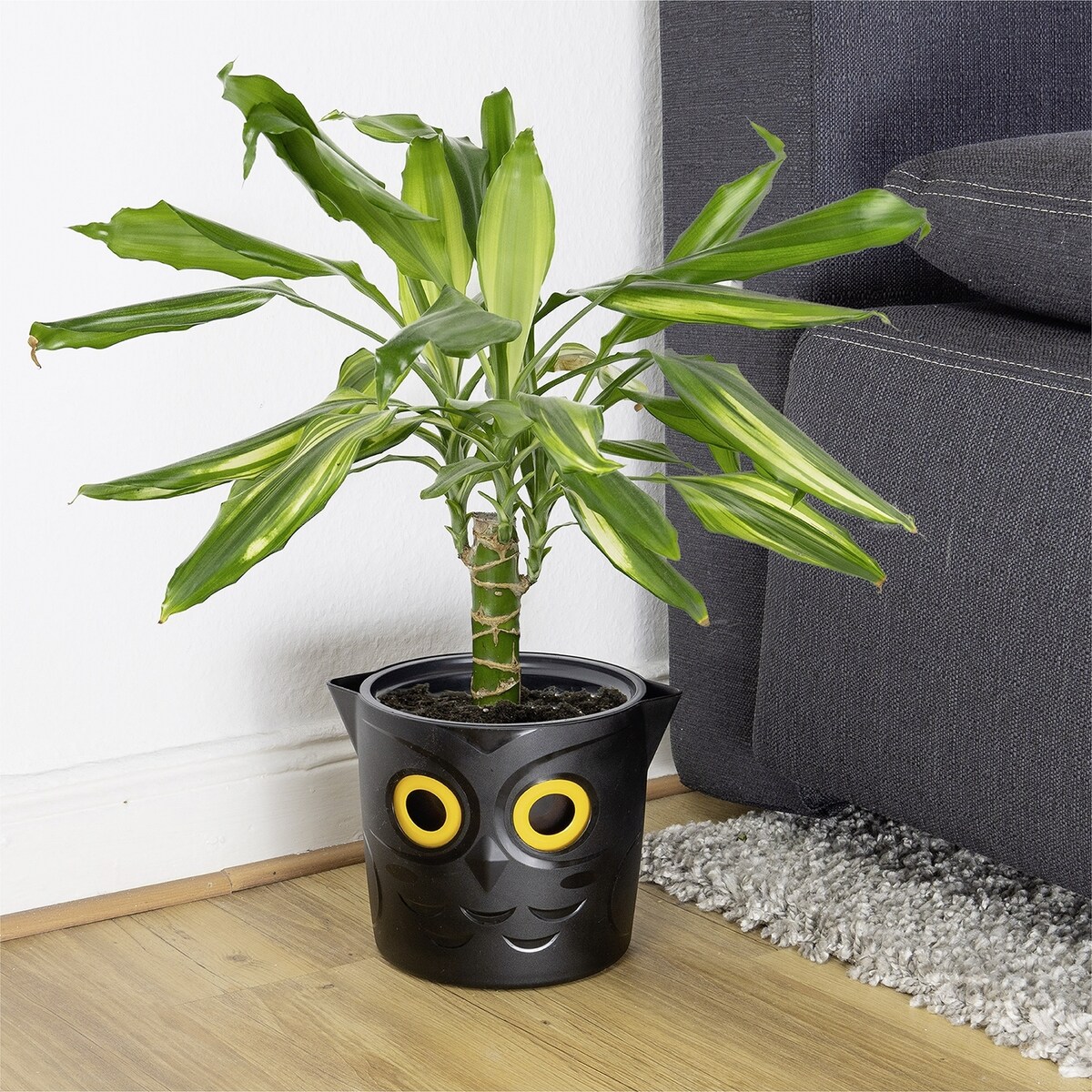 Doniczka ze wskaźnikiem poziomu wody, Ø 18 cm