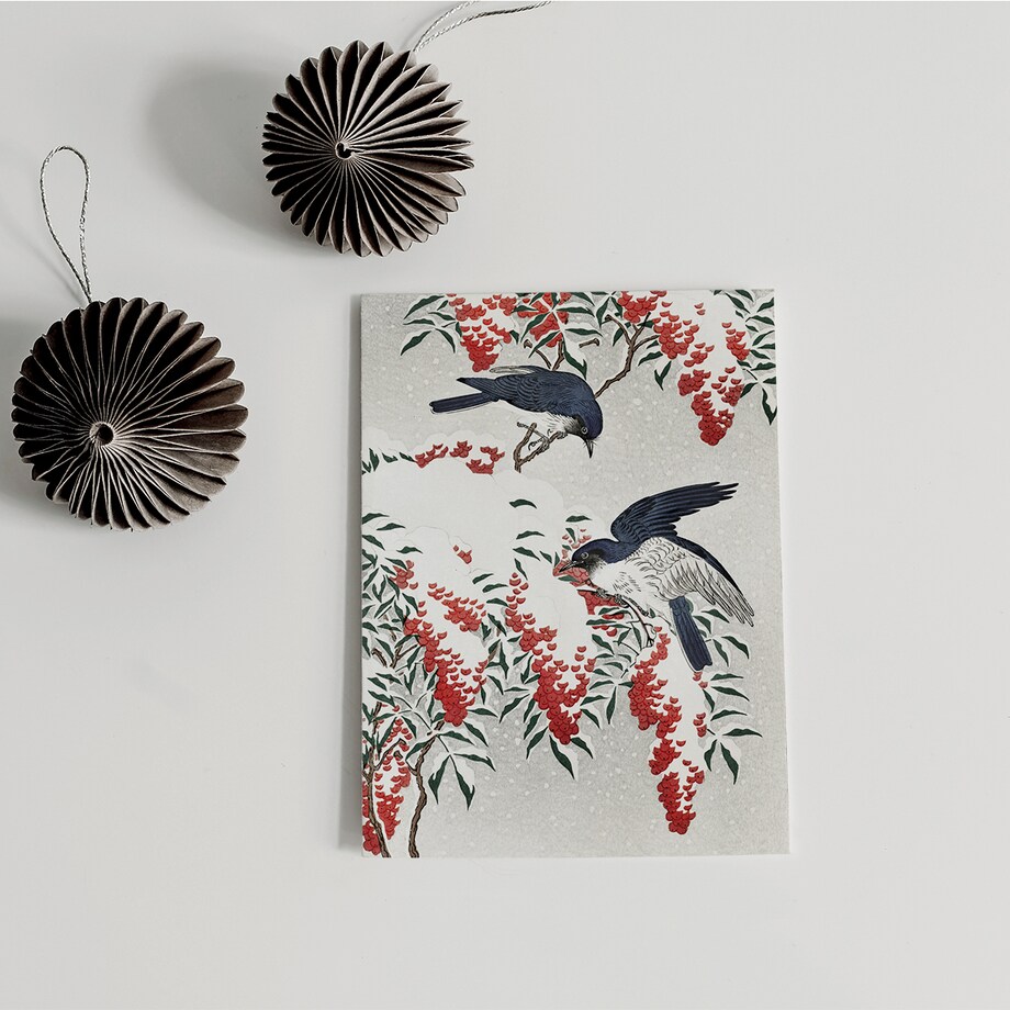 Plakat Muchołówki Zimą 21x30cm