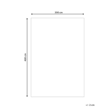 Dywan 300 x 400 cm złamana biel z beżowym GOGAI