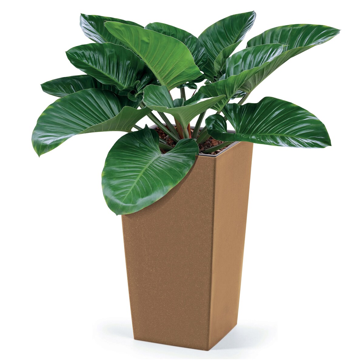 Donica Doniczka Ogrodowa 19,5 Cm Na Taras Do Ogrodu Domu Eco Wood Brązowa